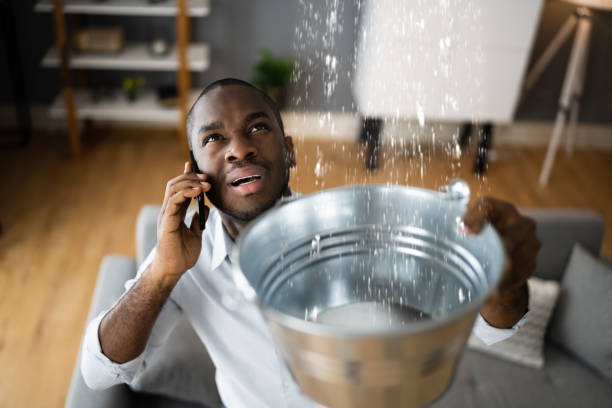 Best Water damage restoration company  in Mmaduke, AR