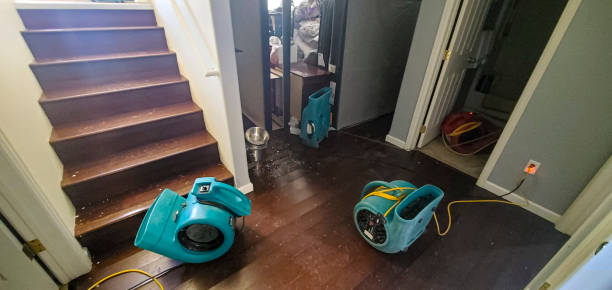 Best Ceiling water damage repair  in Mmaduke, AR