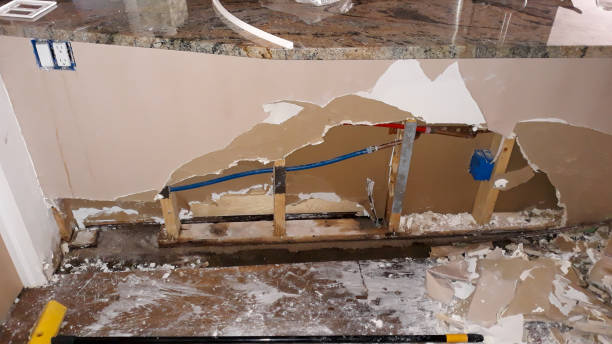 Best Flood restoration services  in Mmaduke, AR