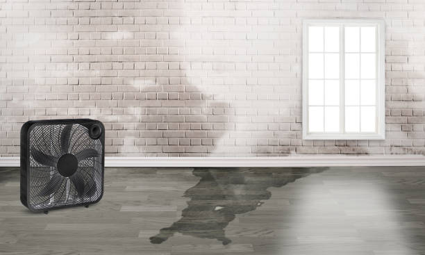 Reliable AR Water damage restoration Solutions