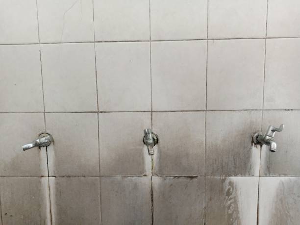 Best 24/7 water damage repair  in Mmaduke, AR
