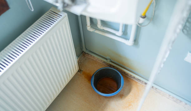 Best Mold removal after water damage  in Mmaduke, AR