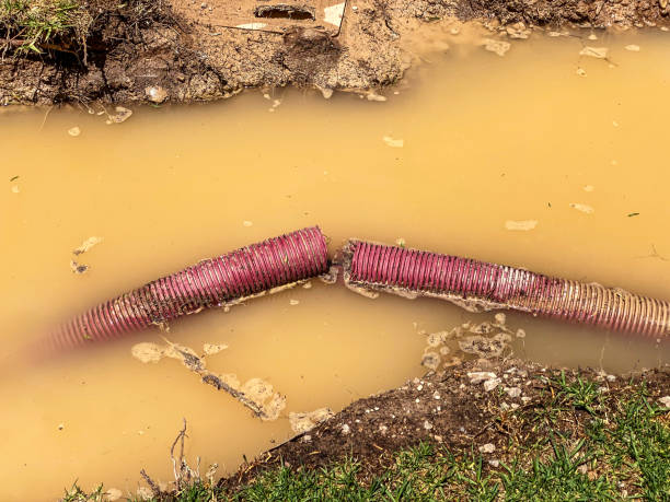 Best Commercial water damage restoration  in Mmaduke, AR